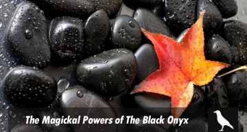The Magickal Powers of The Black Onyx