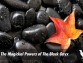 The Magickal Powers of The Black Onyx