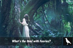 What’s the deal with Faeries?