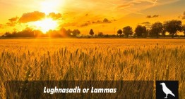 Lughnasadh or Lammas?