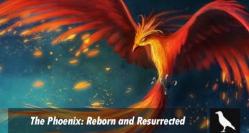 The Phoenix: Reborn and Resurrected