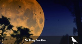 The Strong Sun Moon