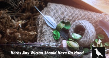 The Top 3 Herbs Any Wiccan Should Have On Hand