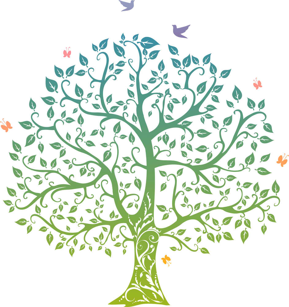 The Tree Of Life | Wicca Daily