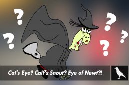 Cat’s Eye? Calf’s Snout? Eye of Newt?!