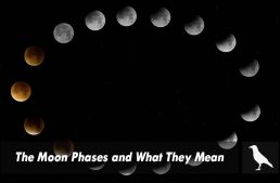 The Moon Phases and What They Mean
