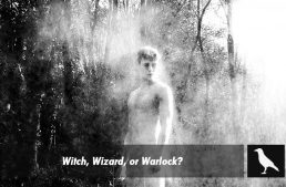 Witch, Wizard, or Warlock?